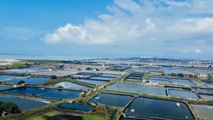 中國(guó)農(nóng)業(yè)大學(xué)教授張正河:&ldquo;鍋圈模式&rdquo;有力推進(jìn)農(nóng)村&ldquo;三產(chǎn)融合&rdquo;