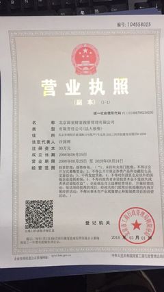 北京國亞投資管理 投資控股領(lǐng)域的穩(wěn)健力量